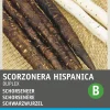 Online Schwarzwurzel (Scorzonera hispanica 'Duplex') Samen Gemüsesamen|Saatgut