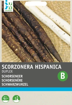 Online Schwarzwurzel (Scorzonera hispanica 'Duplex') Samen Gemüsesamen|Saatgut