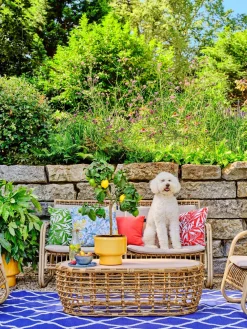 Sale 4-Sitzer Lounge-Set Jade naturell Lounge-Sets|Lounge-Sets