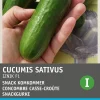 Discount Snackgurke (Cucumus sativus 'Iznik F1') Samen Gemüsesamen|Saatgut