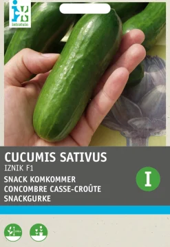 Discount Snackgurke (Cucumus sativus 'Iznik F1') Samen Gemüsesamen|Saatgut