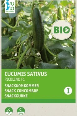 Discount Snackgurke (Cucumis sativus 'Picolino') (BIO) Samen Gemüsesamen|Saatgut
