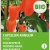 Online Snackpaprika (Capsicum annuum 'Flyn oranje') (BIO) Samen Gemüsesamen|Saatgut