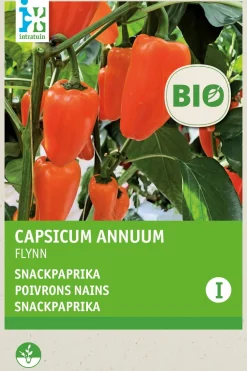 Online Snackpaprika (Capsicum annuum 'Flyn oranje') (BIO) Samen Gemüsesamen|Saatgut