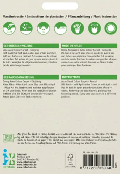 Outlet Sommeraster (Callistephus chinensis 'Colour Carpet') Blumensamen Saatgut|Blühende Pflanzen