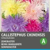 Outlet Sommeraster gemengd (Callistephus chinensis) Blumensamen Saatgut|Blühende Pflanzen
