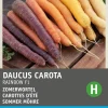 Clearance Sommer-Möhre 'Regenbogen' (Daucus carota var. Sativus) Samen Gemüsesamen|Saatgut