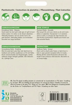 Outlet Sonnenblume gelb (Helianthus debilis 'Stella') Blumensamen Saatgut|Blühende Pflanzen