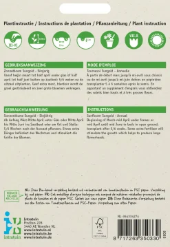 Outlet Sonnenblume (Helianthus annuus 'Sungold') Blumensamen Saatgut|Blühende Pflanzen