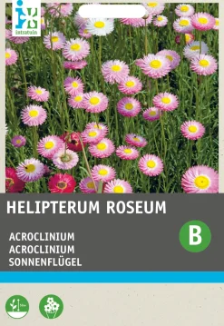 Outlet Sonnenflügel (Acrolineum roseum) Blumensamen Saatgut|Blühende Pflanzen