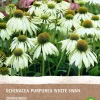 Outlet Sonnenhut (Echinacea 'White Swan') (BIO) Blumenzwiebel 1 St. Sommer-Blüher|Blumenzwiebeln