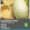 Online Speisekürbis (Cucurbita 'Vegetable spaghetti') Samen Gemüsesamen|Saatgut