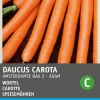 Speisemöhren (Daucus 'Amsterdamse Bak') Samen Gemüsesamen|Saatgut