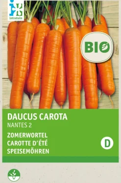 Outlet Speisemöhren (Daucus carota 'Nantes 2') (BIO) Samen Gemüsesamen|Saatgut