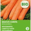 New Speisemöhren (Daucus carota 'Berlikum 2') (BIO) Samen Gemüsesamen|Saatgut