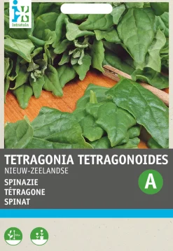 Online Spinat Neuseeländer (Tetragonia tetragonoides) Samen Gemüsesamen|Saatgut