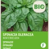 Hot Spinat (Spinacia oleracea 'Securo') (BIO) Samen Gemüsesamen|Saatgut