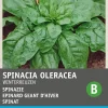 Spinat (Spinacia oleracea 'Winterriesen') Samen Gemüsesamen|Saatgut