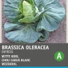 New Spitzkohl (Brassica oleracea 'Express') Samen Gemüsesamen|Saatgut