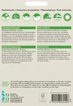 Hot Stangenbohne (Phaseolus vulgaris 'Westlandse dubbele') Samen Gemüsesamen|Saatgut
