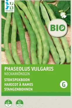 Sale Stangenbohne (Phaseolus vulgaris 'Neckarkönigin') (BIO) Samen Gemüsesamen|Saatgut