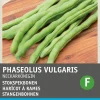 Discount Stangenbohne (Phaseolus vulgaris 'Neckarkönigin') (BIO) Samen Gemüsesamen|Saatgut