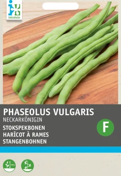 Discount Stangenbohne (Phaseolus vulgaris 'Neckarkönigin') (BIO) Samen Gemüsesamen|Saatgut