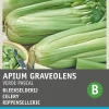 Online Stangensellerie (Apium graveolens 'Groene van Pascal') Samen Gemüsesamen|Saatgut