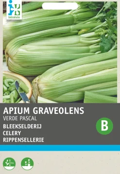 Online Stangensellerie (Apium graveolens 'Groene van Pascal') Samen Gemüsesamen|Saatgut