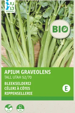 Discount Stangensellerie (Apium graveolens 'Tall Utah 52/70') (BIO) Samen Gemüsesamen|Saatgut
