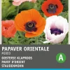 Best Staudenmohn bunt (Papaver orientale) Blumensamen-Mischung Blühende Pflanzen|Saatgut