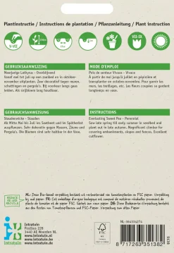 Best Staudenwicke (Lathyrus latifolius) Blumensamen Saatgut|Blühende Pflanzen