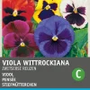 Outlet Stiefmütterchen (Viola wittrockiana 'Schweizer Riesen') Blumensamen-Mischung Saatgut|Blühende Pflanzen