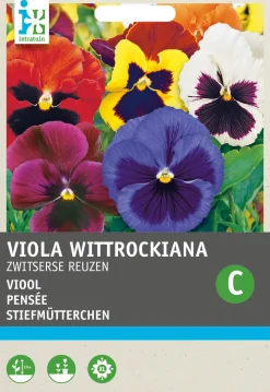 Outlet Stiefmütterchen (Viola wittrockiana 'Schweizer Riesen') Blumensamen-Mischung Saatgut|Blühende Pflanzen