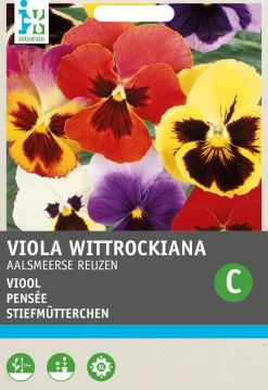 Stiefmütterchen (Viola wittrockiana 'Riesen von Aalsmeer') Blumensamen-Mischung Saatgut|Blühende Pflanzen