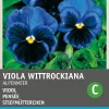 Sale Stiefmütterchen dunkelblau (Viola wittrockiana 'Alpensee') Blumensamen Saatgut|Blühende Pflanzen