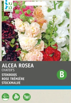 Sale Stockmalve (Alcea rosea 'Chater's') Blumensamen Saatgut|Blühende Pflanzen