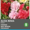 Sale Stockmalve (Althaea rosea 'Summer Carnival') Blumensamen Saatgut|Blühende Pflanzen