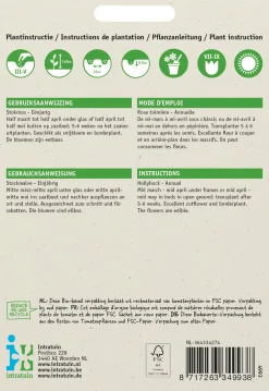 Sale Stockmalve (Althaea rosea 'Summer Carnival') Blumensamen Saatgut|Blühende Pflanzen