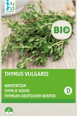 New Thymian (Thymus vulgaris) (BIO) Samen Kräutersamen|Saatgut