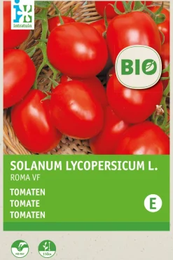 Tomate (Solanum lycopersicum 'Roma') (BIO) Samen Gemüsesamen|Saatgut