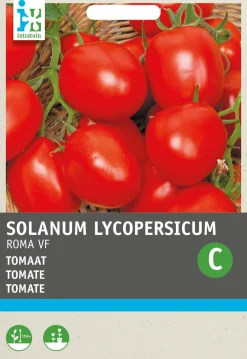 Sale Tomate (Solanum lycopersicum 'Roma') Samen Gemüsesamen|Saatgut