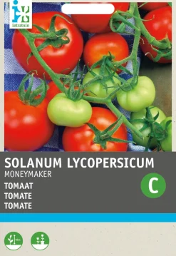 Tomate (Solanum lycopersicum 'Moneymaker') Samen Gemüsesamen|Saatgut