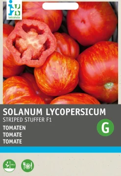 Tomaten (Lycopersicon esculentum 'Striped Stuffer' F1) Samen Gemüsesamen|Saatgut