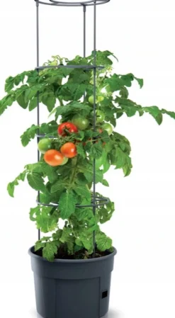 Discount Tomatentopf mit Rankhilfe 39 x 31,5 x 153 cm anthrazit Anzuchtkästen & Mini-Gewächshäuser