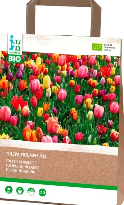 Tulp (Tulipa 'Triumph') gemischt (BIO) Blumenzwiebeln 15 St. Frühlings-Blüher|Blumenzwiebeln