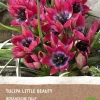 Clearance Tulpe (Tulipa 'Little Beauty') (BIO) Blumenzwiebeln 6 St. Frühlings-Blüher|Blühende Pflanzen