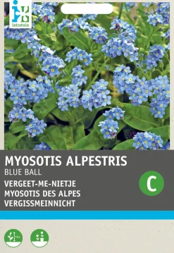 Sale Vergissmeinnicht (Myosotis alpestris 'Blue ball') Blumensamen Saatgut|Blühende Pflanzen