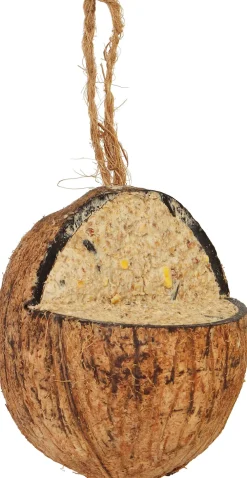 Best Vogelfutter Kokosnuss D 9,2 cm H 10 cm Gartenvögel|Vogelfutter