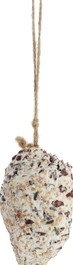 Online Vogelfutter Tannenzapfen D 5 cm H 8 cm Gartenvögel|Vogelfutter